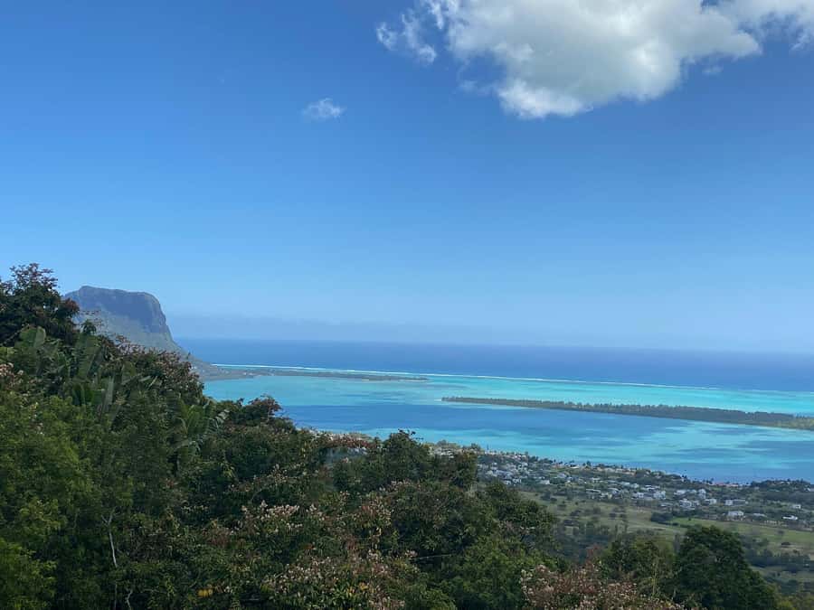 Mauritius: Dolphins watch half-day - Setting out from your hotel at 6am