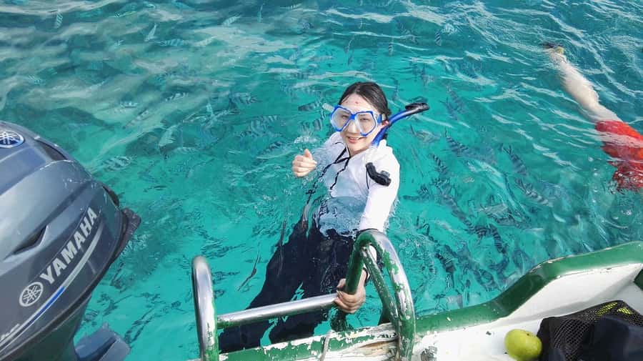 Mauritius: Dolphins watch half-day - Watching dolphins along Mauritius’s west coast