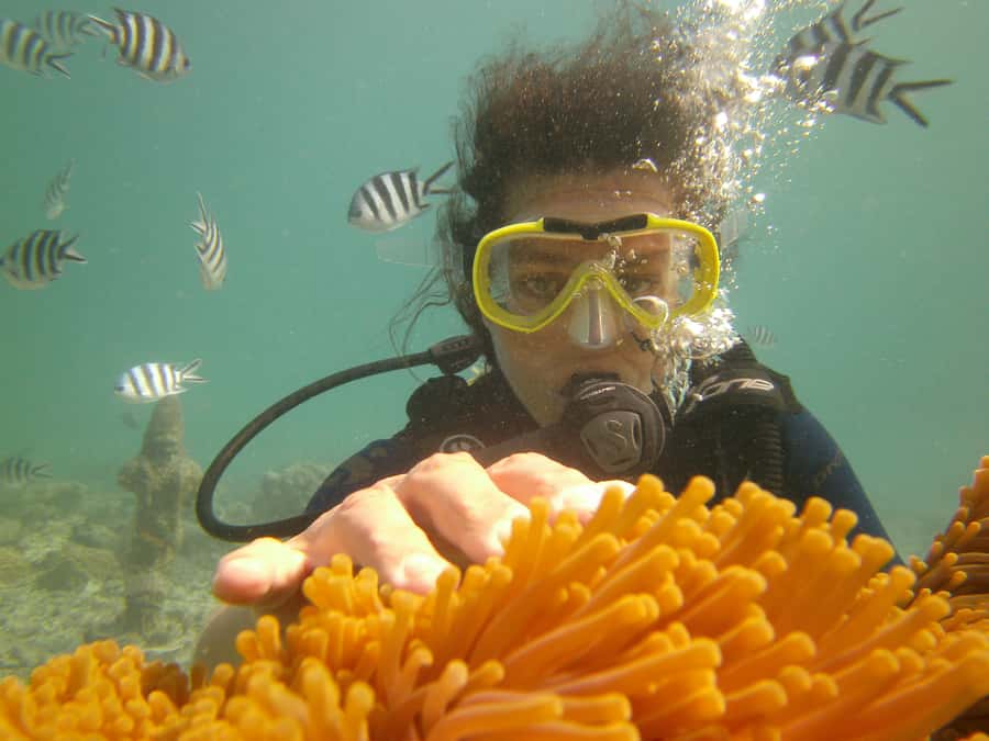 Mauritius: East Belle Mare Scuba Diving Tour - Key points to know before your Belle Mare session