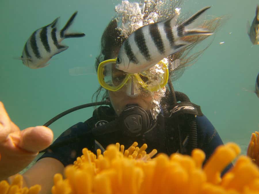 Mauritius: East Belle Mare Scuba Diving Tour - Should you book the Belle Mare underwater session?