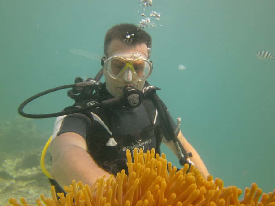 Mauritius: East Belle Mare Scuba Diving Tour - The East Coast open-water session