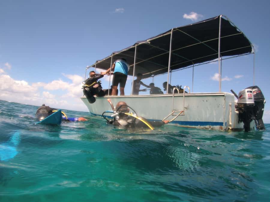 Mauritius: East Belle Mare Scuba Diving Tour - The instructors are the real value