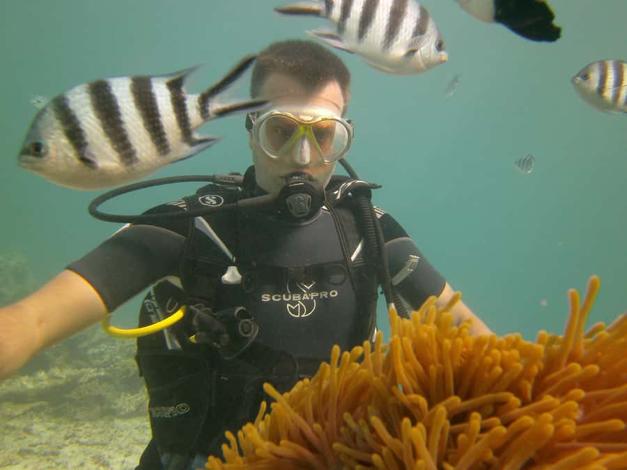 Mauritius: East Belle Mare Scuba Diving Tour - What the $158 price includes