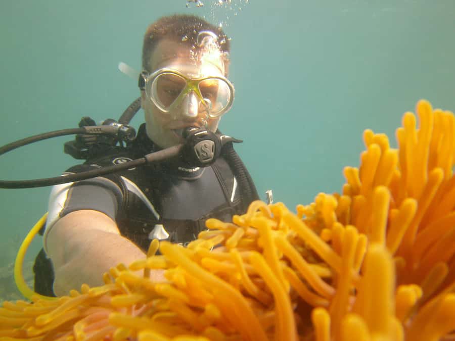 Mauritius: East Belle Mare Scuba Diving Tour - Transport, food, and the small practical catches