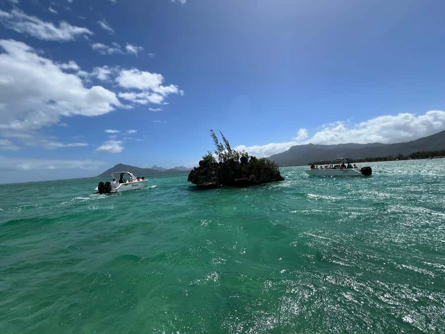Mauritius Eco Whales Quest, 3-4 hours Expedition - Who should book this whale trip?