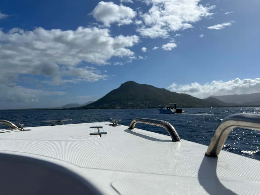Mauritius Eco Whales Quest, 3-4 hours Expedition - FAQ