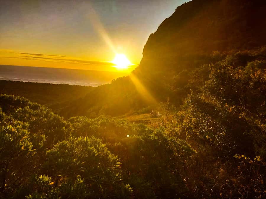 Mauritius: Exclusive Le Morne Sunset Hike & Aperitivo - The 1.5-hour climb through Le Morne