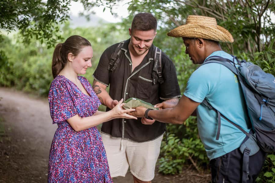 Mauritius: Exclusive Le Morne Sunset Hike & Aperitivo - A quiet viewpoint above the lagoon