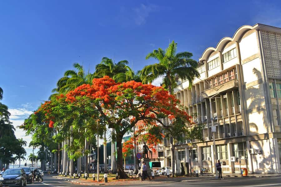 Mauritius: Exclusive North Tour with Pickup - What this northern Mauritius tour is really about