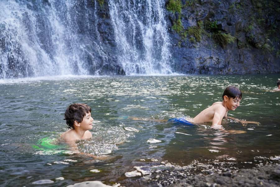 Mauritius: Exploring the Tamarind Falls with a Guide - The rainforest opening and first river crossing