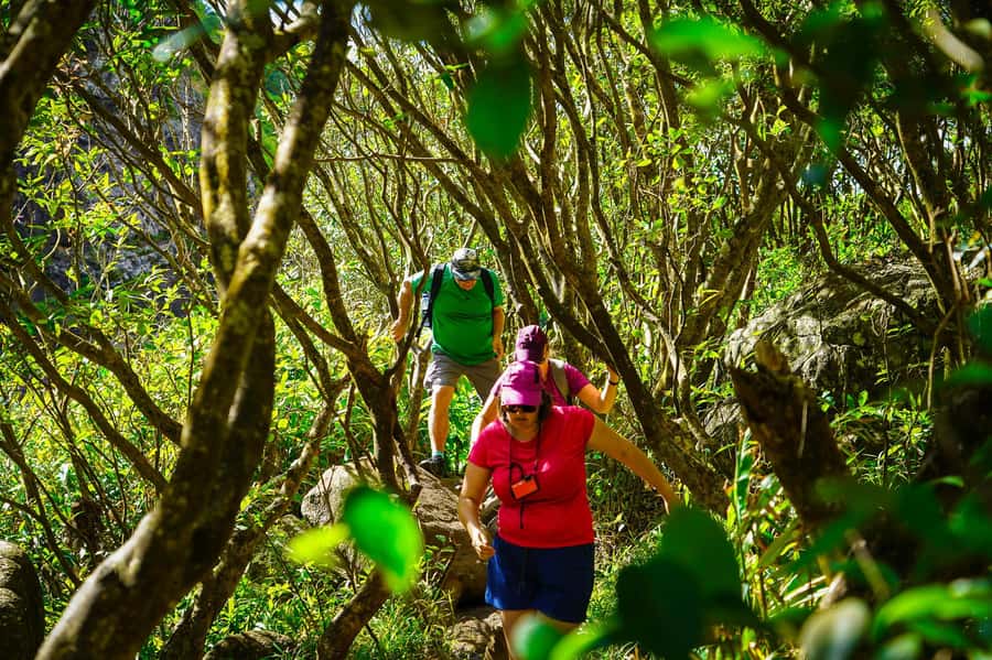 Mauritius: Exploring the Tamarind Falls with a Guide - Swimming pools, fish, and the best pauses