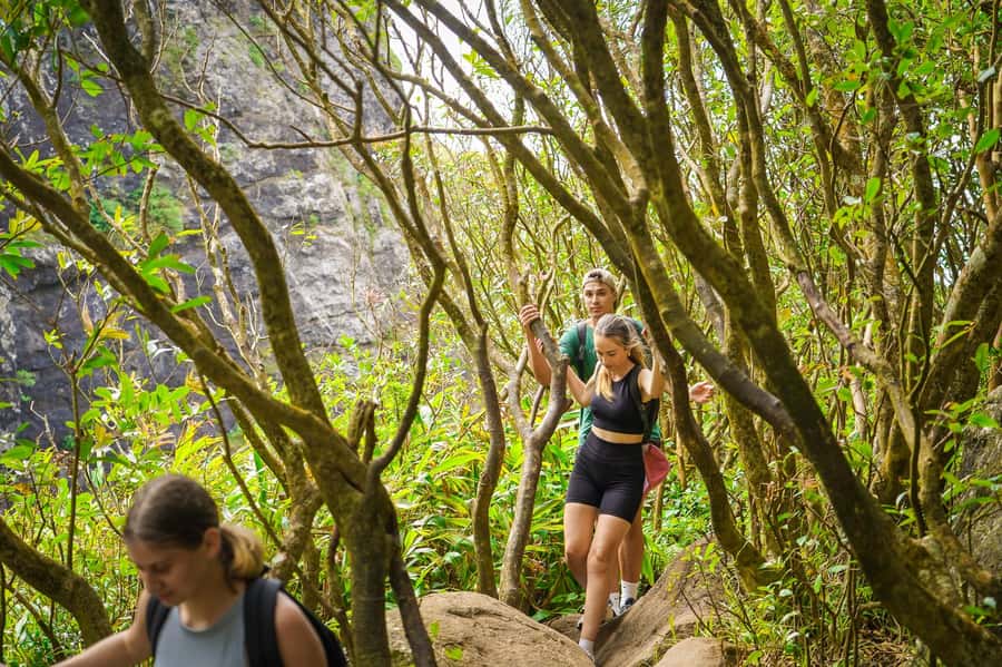 Mauritius: Exploring the Tamarind Falls with a Guide - Should you book Tamarind Falls with Horazis?