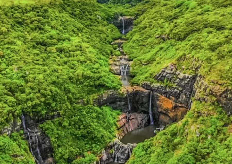 Mauritius: Full Canyon Tamarind Falls 5-Hour Hike - Reaching Tamarind Falls through sugarcane country