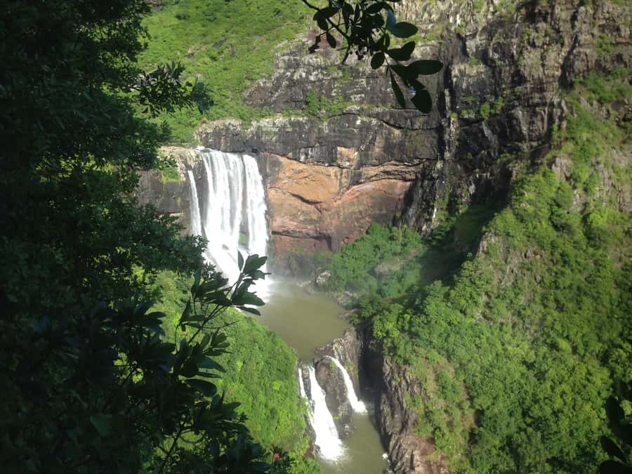 Mauritius: Full Canyon Tamarind Falls 5-Hour Hike - Plants, animals, and the human side of the island
