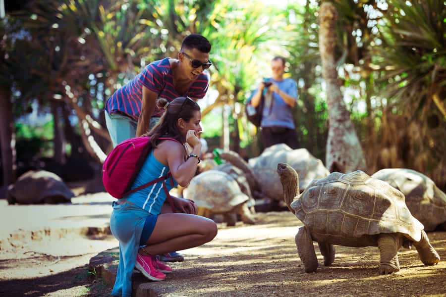Mauritius: Full-Day Quad Bike Tour with Lunch - Key points to know before booking
