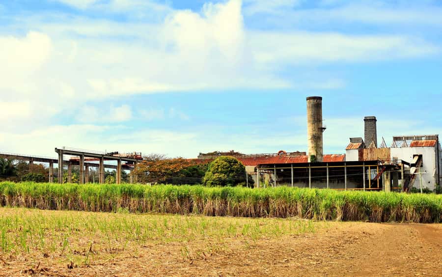 Mauritius: Full-Day Quad Bike Tour with Lunch - Is $296 a fair price?