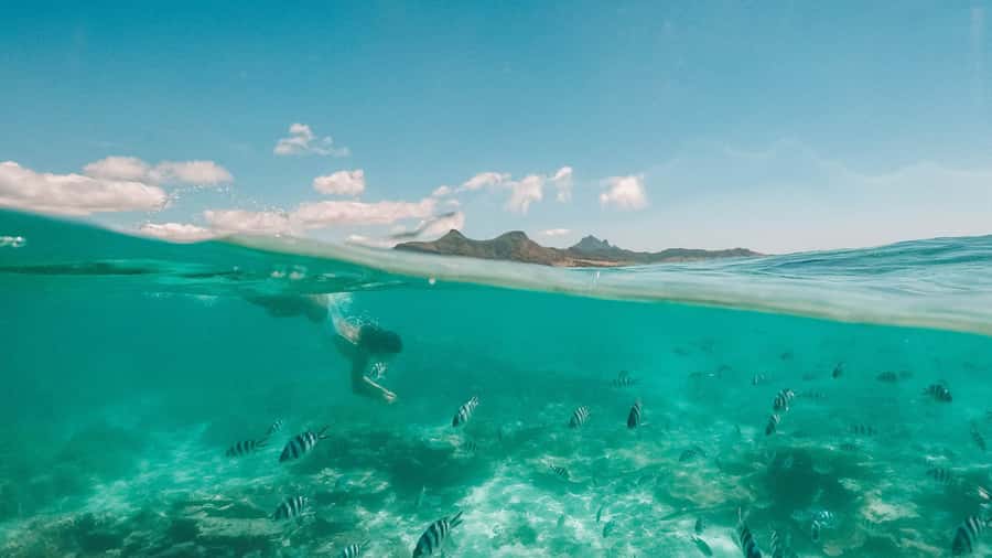 Mauritius: Full-Day Speedboat Tour to Ile aux Cerfs & BBQ - The final island and a natural swimming pool
