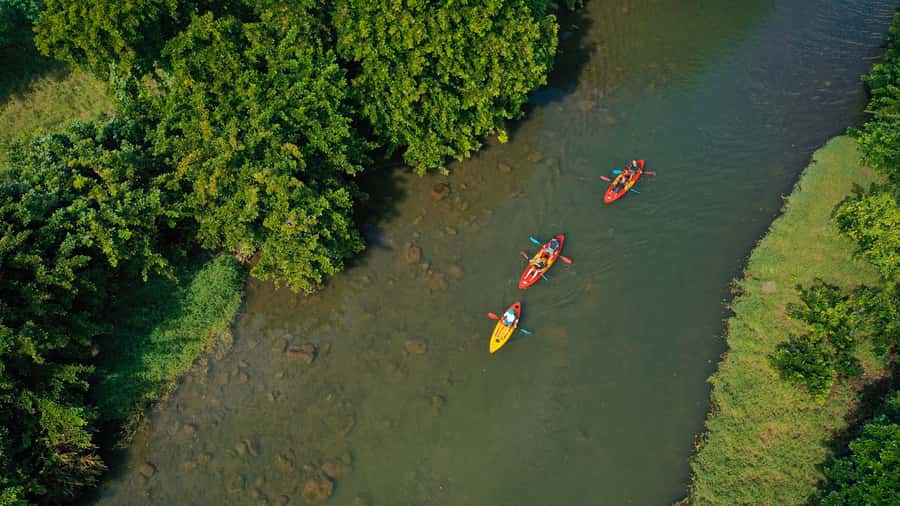 Mauritius: Guided Kayak Tour on Tamarin River - Should you book the Tamarin River kayak tour?