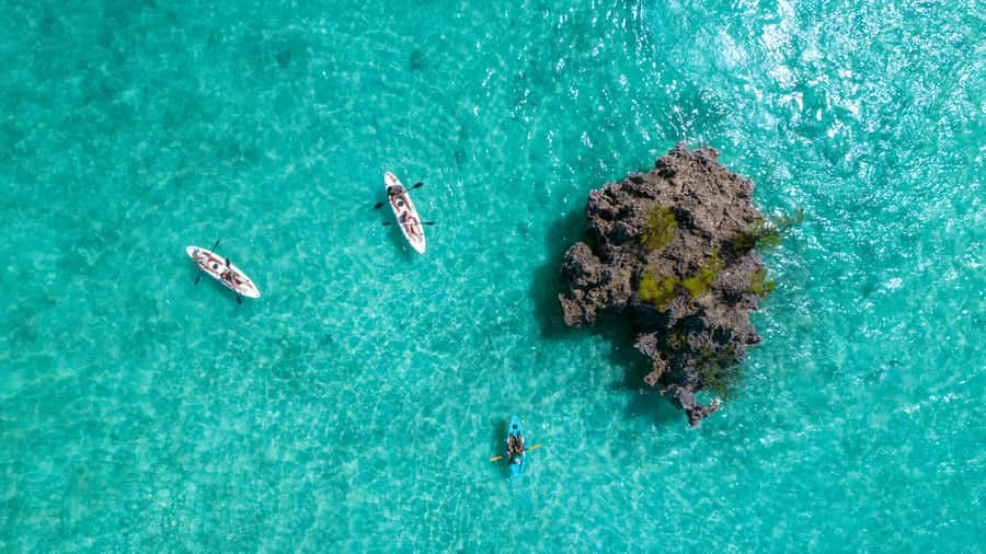 Mauritius: Guided Kayak tour to Benitiers Island - Key points to know before you paddle