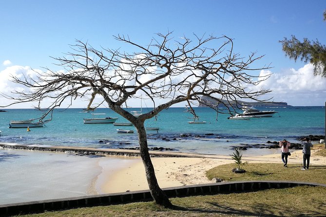 Mauritius Guided North Tour (Private) - Timing, lunch, and extra costs