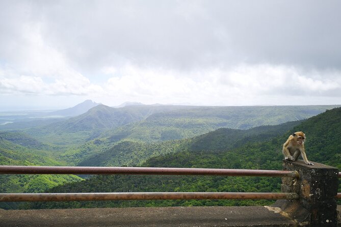 Mauritius Guided South tour (Private) - Alexandra Falls and the Mount Cocotte view