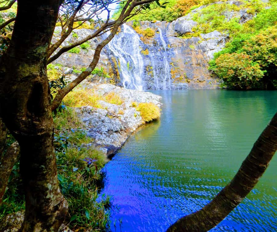 Mauritius: Guided Tamarind Falls Hike with Hotel Transfers - The waterfalls and mountain views