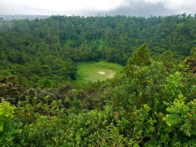 Guided Trip to the Southwest with Safari Tour