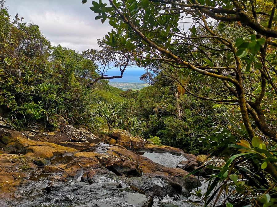 Mauritius: Guided Trip to the Southwest with Safari Tour - Casela Nature Park: safari truck first