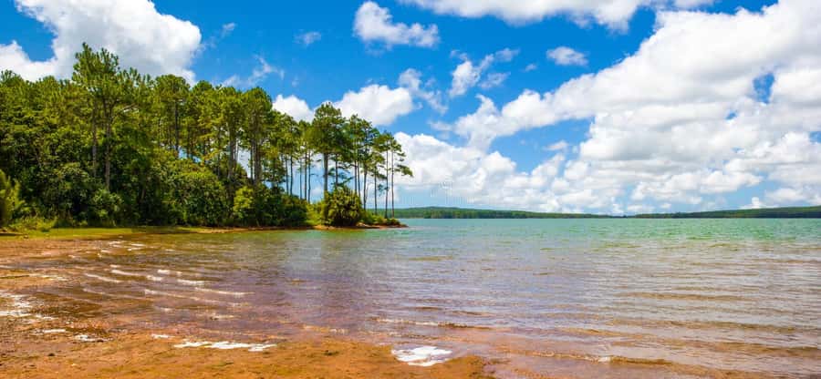 Mauritius: Guided Trip to the Southwest with Safari Tour - Big cats and the Tulawaka Gold Coaster