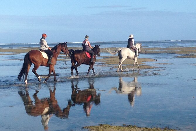 Mauritius Horse Riding at Riambel - Daylight Ride or Late Afternoon Sunset Attempt