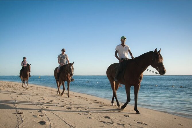 Mauritius Horse Riding at Riambel - Booking, Weather, and Cancellation Details
