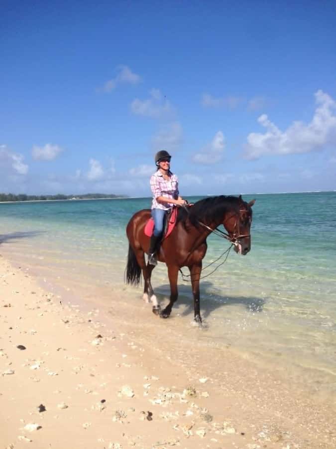 Mauritius: Horse riding on the deserted beach of Riambel - Why horse welfare matters here