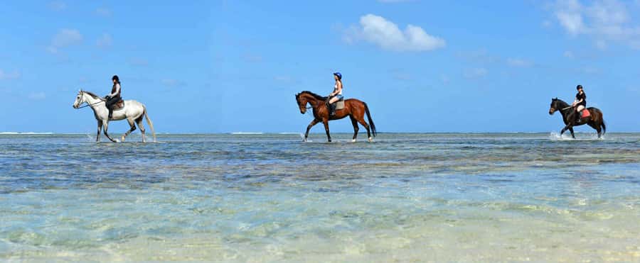 Mauritius: Horse riding on the deserted beach of Riambel - Price, group size, and overall value