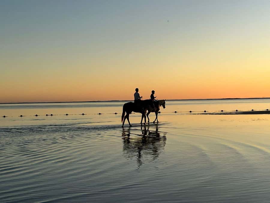 Mauritius: Horseback riding on the beach - Reaching Belle Mare Beach on horseback