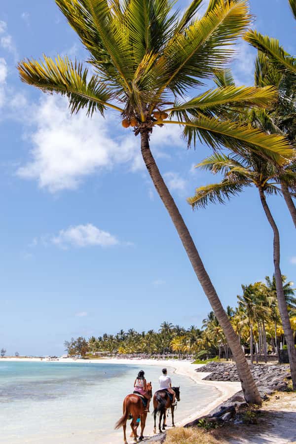 Mauritius: Horseback riding on the beach - Photos, guides, and the extra-cost question