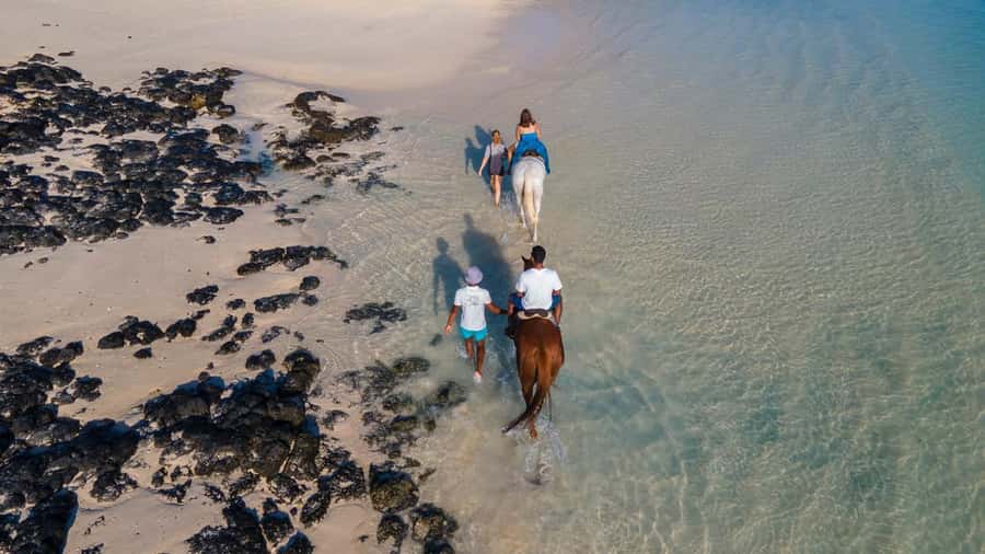 Mauritius: Horseback riding on the beach - Timing, language, and cancellation flexibility