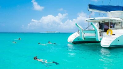 Ile aux Cerf Catamaran w/Waterfall Visit & Lunch