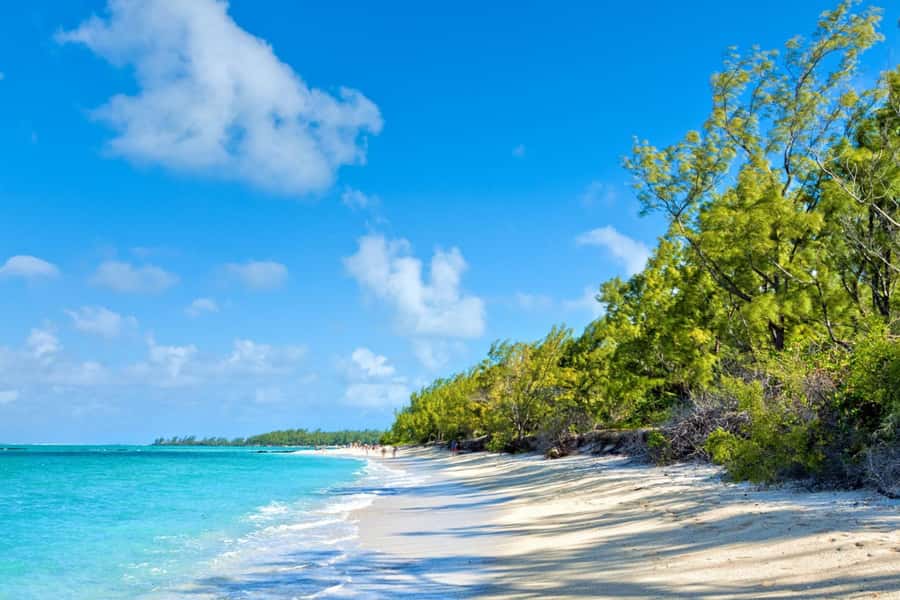 Mauritius: Ile Aux Cerfs Catamaran Trip w/ Lunch & Transfer - A full day from hotel door to Trou D’Eau Douce