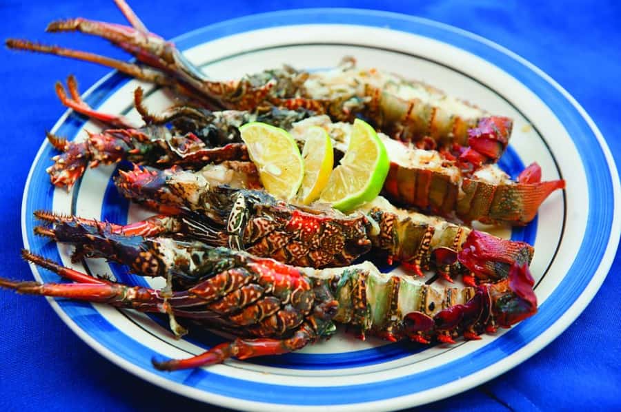 Mauritius: Ile Aux Cerfs Catamaran Trip w/ Lunch & Transfer - The catamaran ride and the feel on board