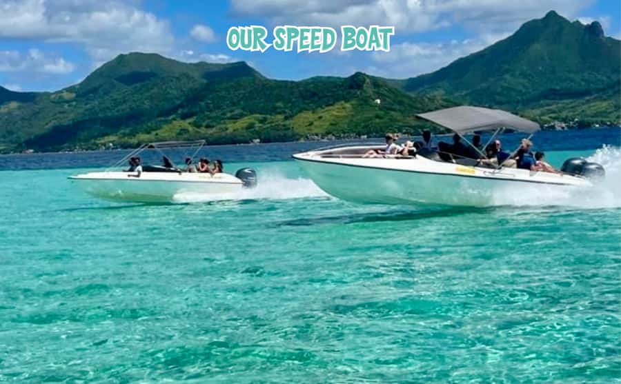 Mauritius: Ile aux Cerfs Speedboat Tour with Lunch & Drinks - Through Mauritius’s mangrove channels