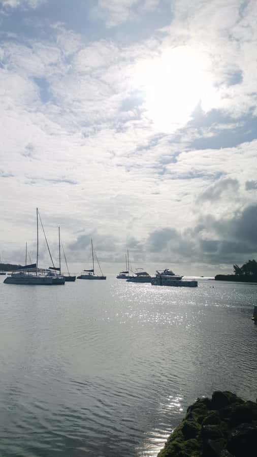 Mauritius: Ile aux cerfs, waterfalls and bbq Boat Day - GRSE waterfall and monkeys