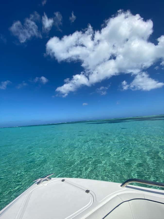 Mauritius Le Morne: Eco-Friendly Dolphin Watching Tour - Leaving Le Morne before the boats gather
