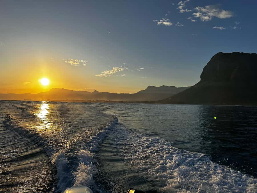 Mauritius Le Morne: Eco-Friendly Dolphin Watching Tour - What the $344 private price really buys