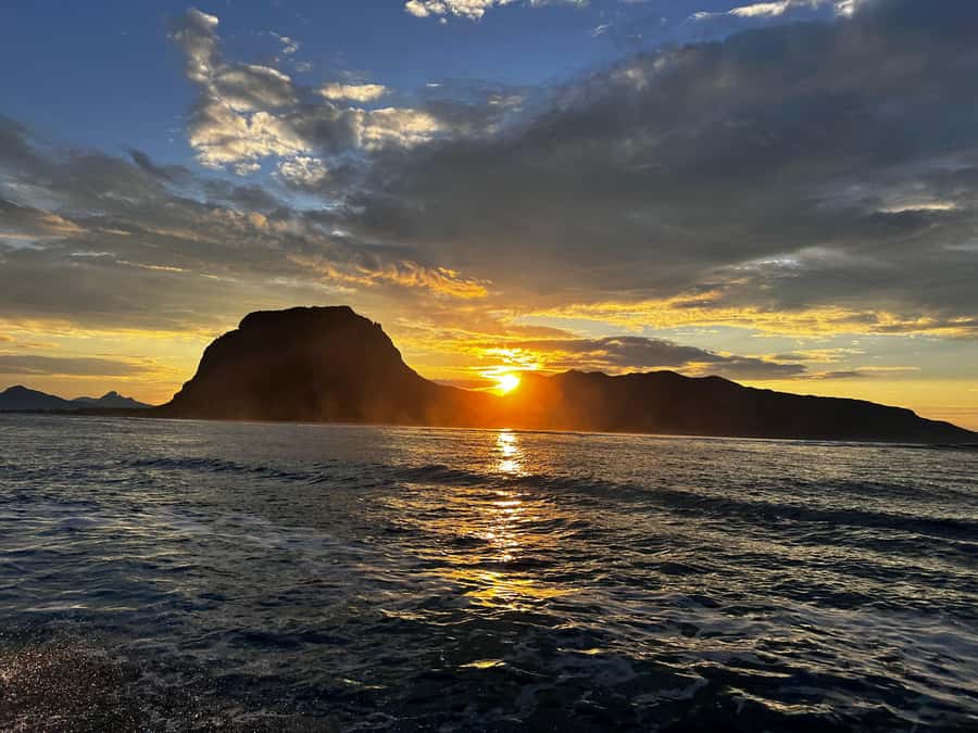 Mauritius Le Morne: Eco-Friendly Dolphin Watching Tour - Who should book this trip