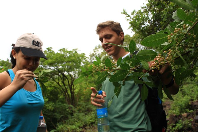Mauritius Le Morne Hiking including transfer - What $120 per person buys you