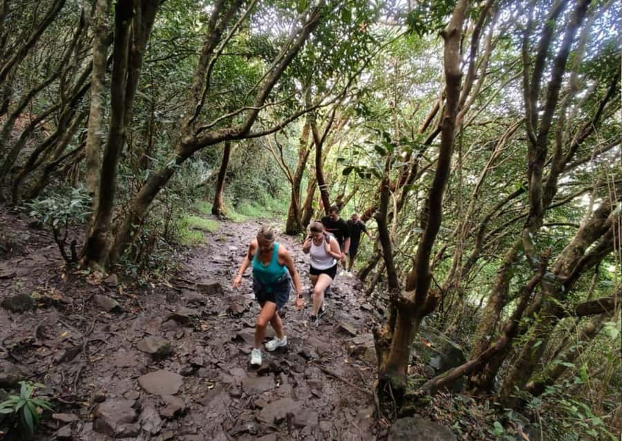 Mauritius: Le Pouce Guided Hiking Experience with a local - Starting Above Moka Village