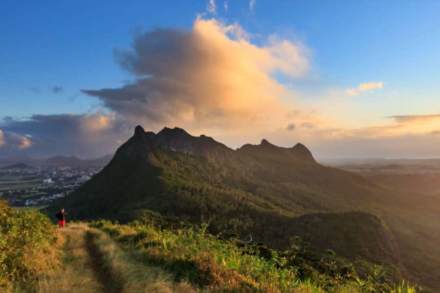 Mauritius: Le Pouce Guided Hiking Experience with a local - The Summit View Over Port Louis