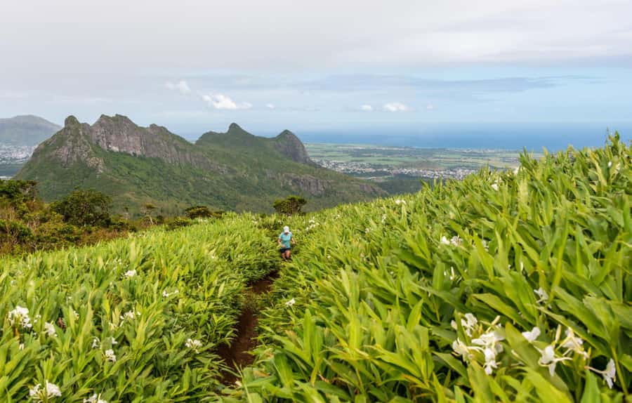 Mauritius: Le Pouce Guided Hiking Experience with a local - What the Guide Adds for $55