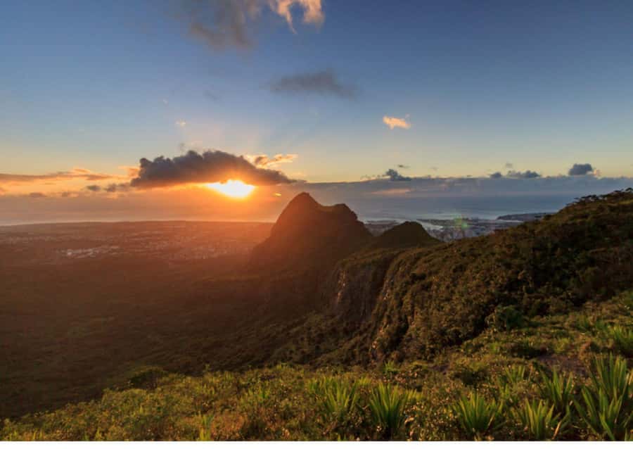 Mauritius: Le Pouce Guided Hiking Experience with a local - Group Size and Guide Style