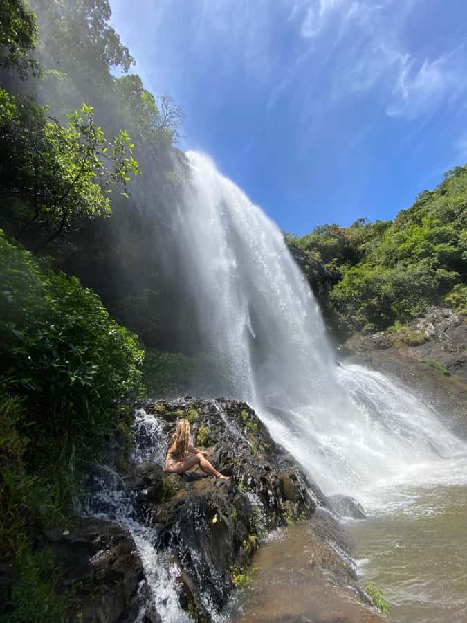 Mauritius Natirel : 7 cascades valley waterfall discovery - Tamarind Falls begins with a wild walk, not a lookout